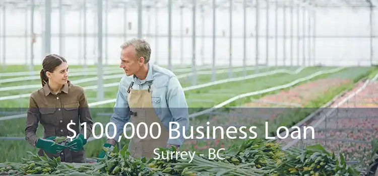 $100,000 Business Loan Surrey - BC