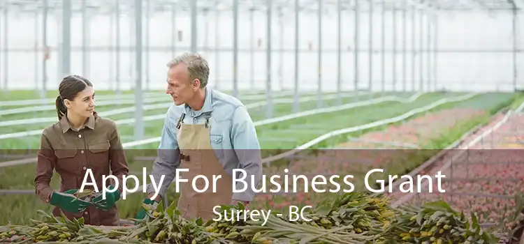 Apply For Business Grant Surrey - BC